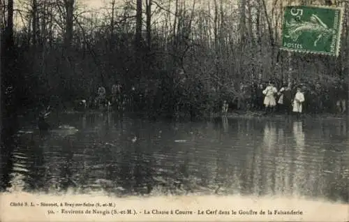 Ak Nangis Seine et Marne, La Chasse a Courre, Le Cerf dans le Gouffre de la Faisanderie