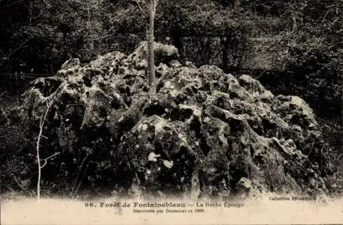 Ak Fontainebleau Seine et Marne, Forêt, Roche Eponge