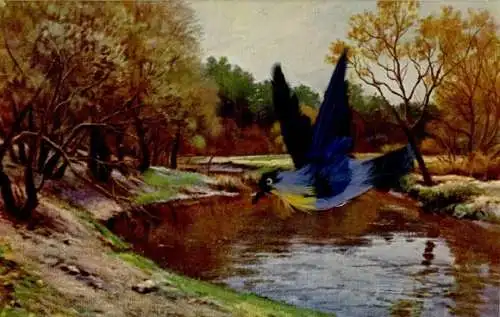 Material Künstler Ak Wrzeszcz, L., Vogel im Flug, Federn, Fluss, Bäume, Herbst