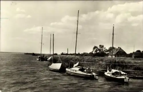 Ak Ostseebad Zingst, Segelbrücke