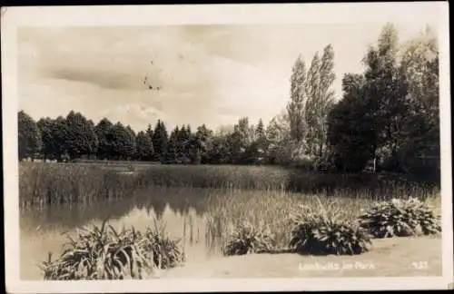 Foto Ak Berlin Steglitz Lankwitz, Park