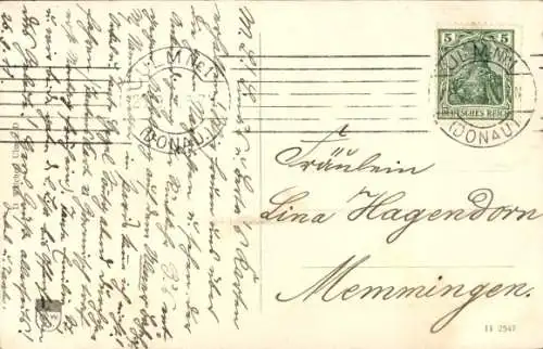 Ak Ulm an der Donau, Münster, Spatz