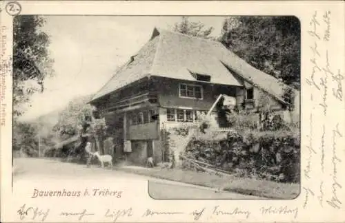 Ak Triberg im Schwarzwald, Bauernhaus