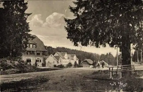 Ak Ruhestein Baiersbronn im Schwarzwald, Kurhaus Ruhestein