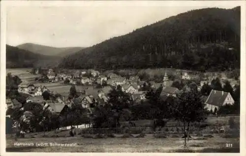 Ak Bad Herrenalb im Schwarzwald, Gesamtansicht