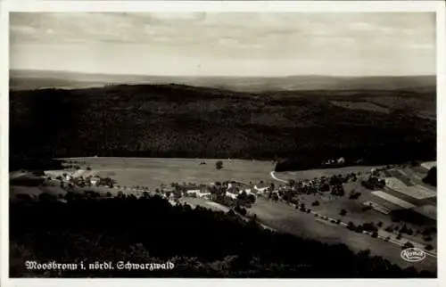 Ak Moosbronn Gaggenau im Schwarzwald, Panorama