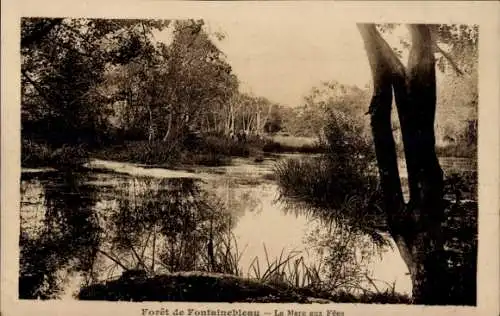 Ak Fontainebleau Seine et Marne, Foret, Mare aux Fees