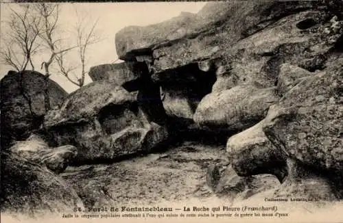 Ak Fontainebleau Seine et Marne, Forêt, Roche qui Pleure