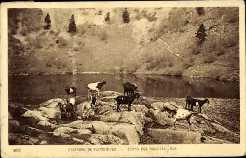 Ak Plombières les Bains environs Lothringen Vosges, Etang des Maux-Cailloux