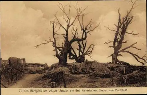 Ak Hurtebise Aisne, Zu den Kämpfen am 25./26. Januar, die drei historischen Linden