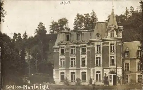 Ak Montaigu Aisne, Schloss