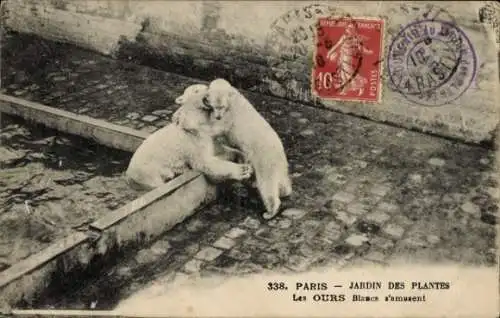 Ak Paris, Jardin des Plantes, Die Weißen Bären haben Spaß