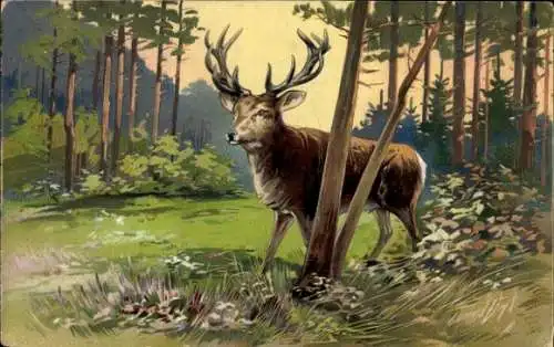 Präge Litho Hirsch im Wald, Wiese, Geweih