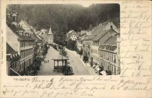 Ak Triberg im Schwarzwald, Teilansicht, Platz