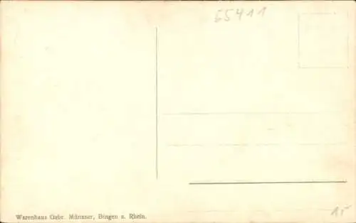 Ak Bingen am Rhein, Naheufer, Burg Klopp, Gesamtansicht