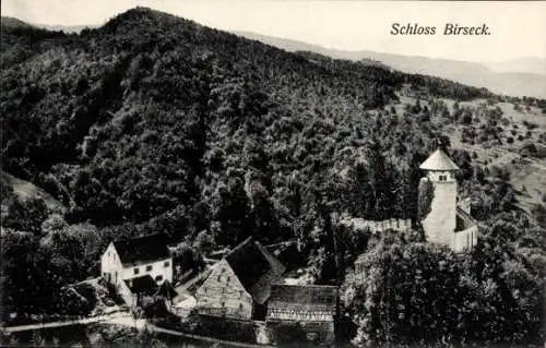 Ak Birseck Basel Landschaft, Schloss, Luftbild