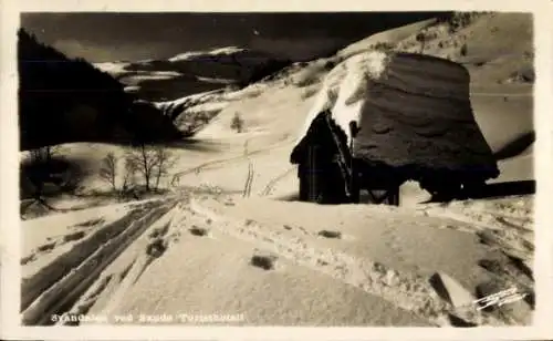 Ak Saudasjøen Saudasjöen Norwegen, Sauda Turisthotell, Winter