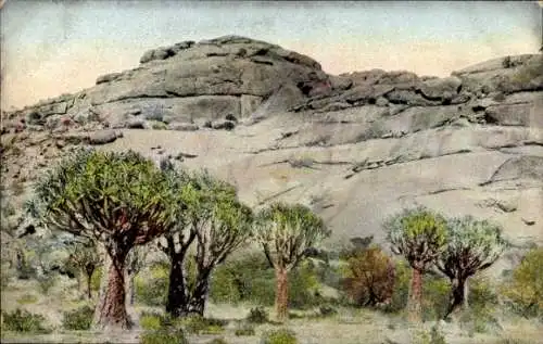 Ak Spitzkopje Deutsch Südwestafrika Namibia, Landschaft, Felswand, Bäume