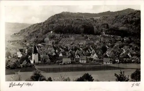 Ak Eschenbach Pommelsbrunn in Mittelfranken, Gesamtansicht