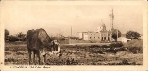 Ak Alexandria Ägypten, Sidi Gaber Moschee