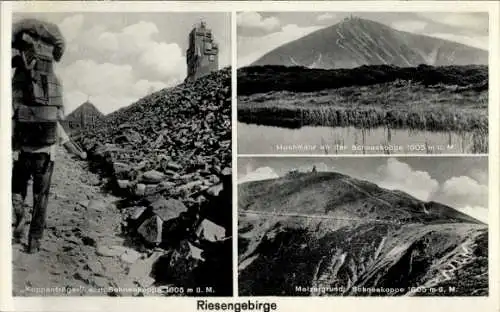 Ak Malá Úpa Kleinaupa Riesengebirge Region Königgrätz, Schneekoppe, Hochmoor, Melzergrund