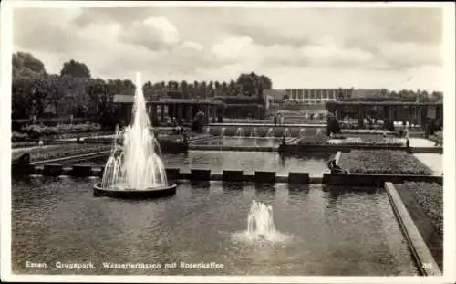 Ak Essen im Ruhrgebiet, Grugapark, Wasserterrassen, Rosenkaffee