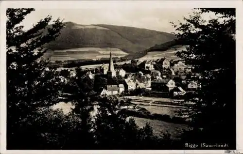 Ak Bigge Olsberg im Sauerland, Gesamtansicht