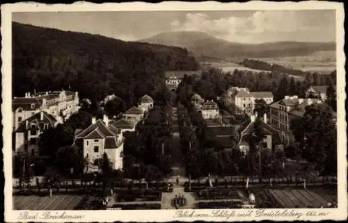 Ak Bad Brückenau in Unterfranken, Schloss, Wohnhäuser, Park, Dreistelzberg