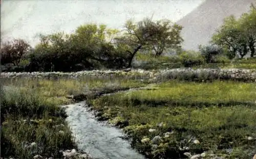 Ak Otavi Namibia Deutsch Südwestafrika, Landschaft