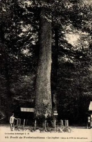 Ak Fontainebleau Seine et Marne, Forêt, Jupiter