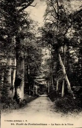 Ak Fontainebleau Seine et Marne, Forêt, Route de la Tillaie