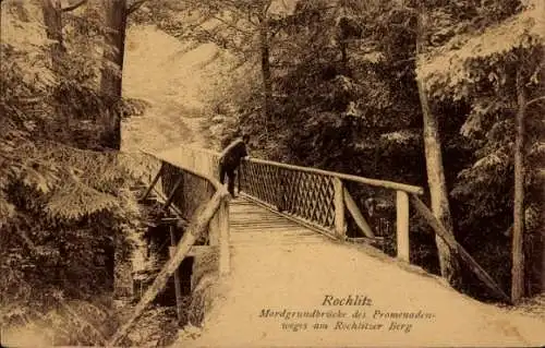 Ak Rochlitz an der Mulde Sachsen, Mordgrundbrücke, Promenadenweg, Rochlitzer Berg