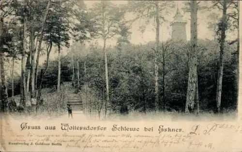 Ak Woltersdorf bei Berlin, Woltersdorfer Schleuse, Wald, Turm