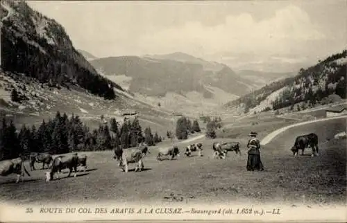 Ak La Clusaz Haute Savoie, Route du Col des Aravis, Beauregard