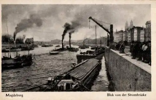 Ak Magdeburg an der Elbe, Blick von der Strombrücke, Dampfer