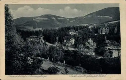 Ak Karpacz Krummhübel im Riesengebirge Schlesien, Dreyhaupts Hotel