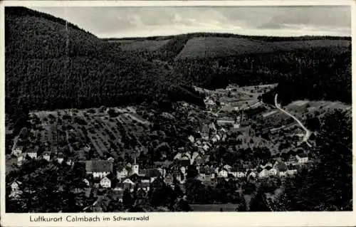 Ak Calmbach Bad Wildbad im Schwarzwald, Panorama