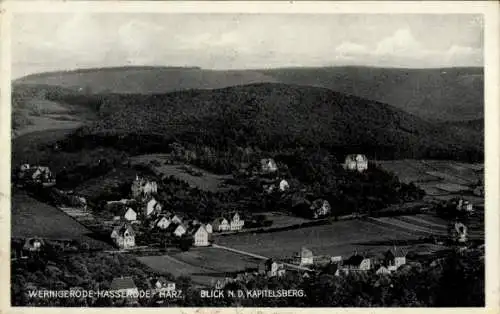 Ak Hasserode Wernigerode im Harz, Panorama, Kapitelsberg