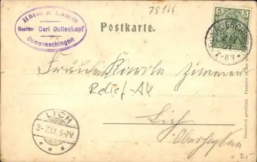 Ak Donaueschingen im Schwarzwald, Donauquelle