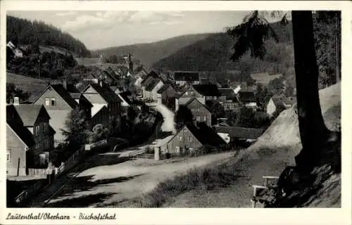 Ak Lautenthal Langelsheim im Oberharz, Gesamtansicht