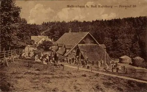 Ak Bad Harzburg am Harz, Molkenhaus