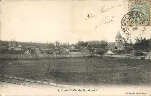 Ak Moulignon Saint Fargeau Ponthierry Seine et Marne, Panorama