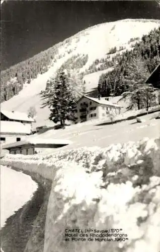 Ak Chatel Haute Savoie, Hotel des Rhododendrons, Pointe de Morclan