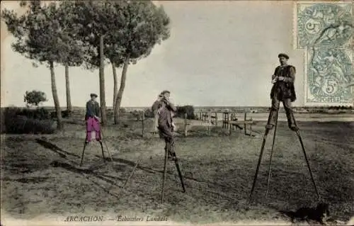 Ak Arcachon Gironde, Echassiers Landais