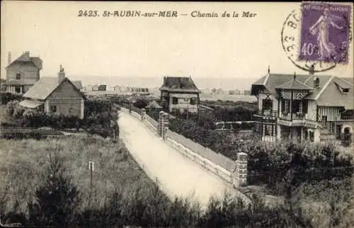 Ak Saint Aubin sur Mer Seine Maritime, Chemin de la Mer