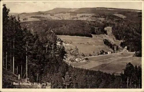 Ak Kudowa Zdrój Bad Kudowa Schlesien, Blick ins Tal