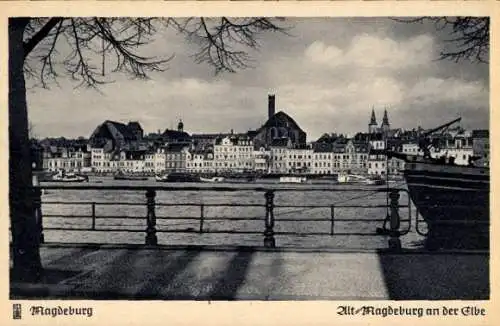 Ak Magdeburg an der Elbe, Blick zur Altstadt, Ufer