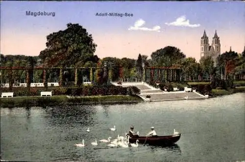 Ak Magdeburg an der Elbe, Adolf-Mittag-See, Ruderboot, Schwäne