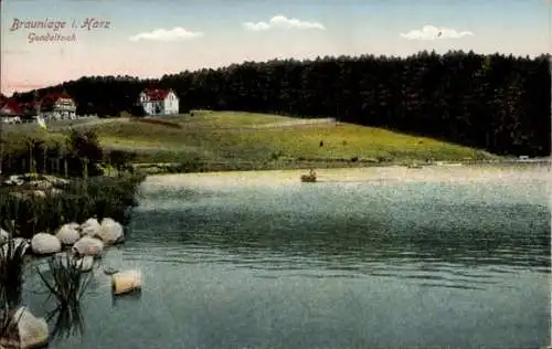 Ak Braunlage im Oberharz, Gondelteich