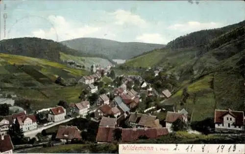 Ak Wildemann Clausthal Zellerfeld im Oberharz, Panorama von oben